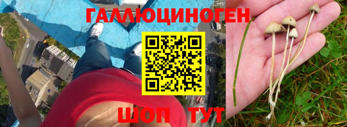 Псилоцибиновые грибы мухоморы Барабинск